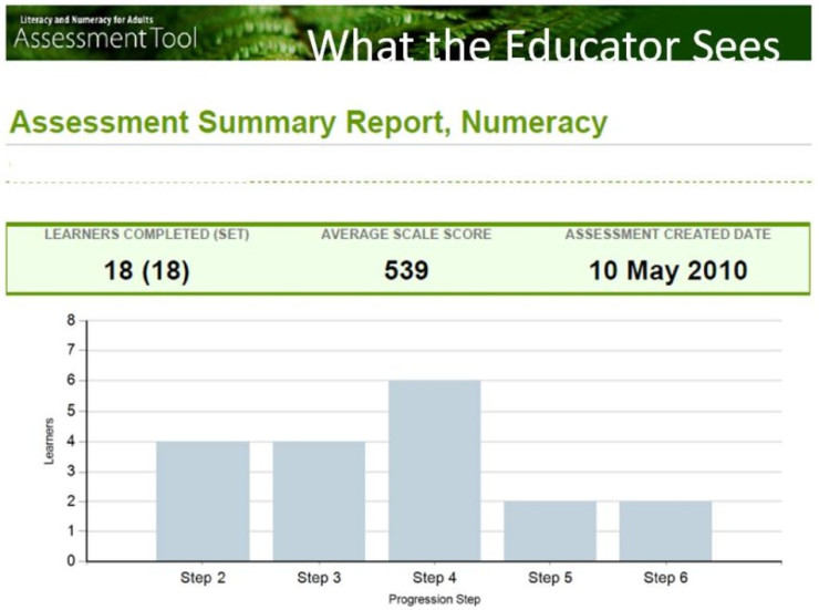 Assessment summary report numeracy screenshot