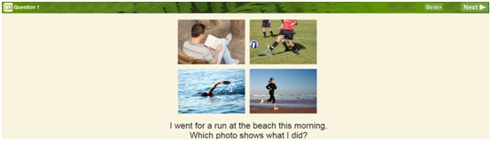 Image grid question screenshot