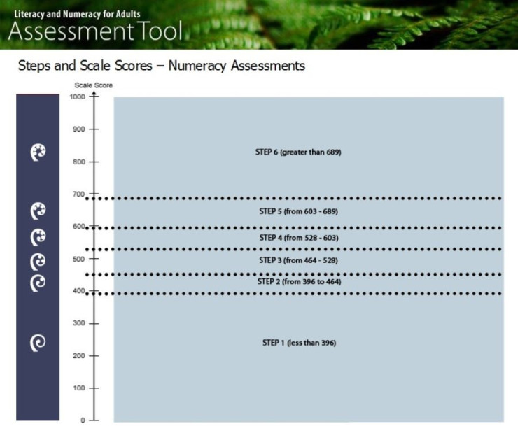 Numeracy assessment steps scale scores screenshot
