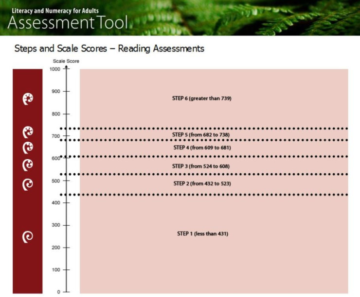 Reading assessment steps and scale scores screenshot