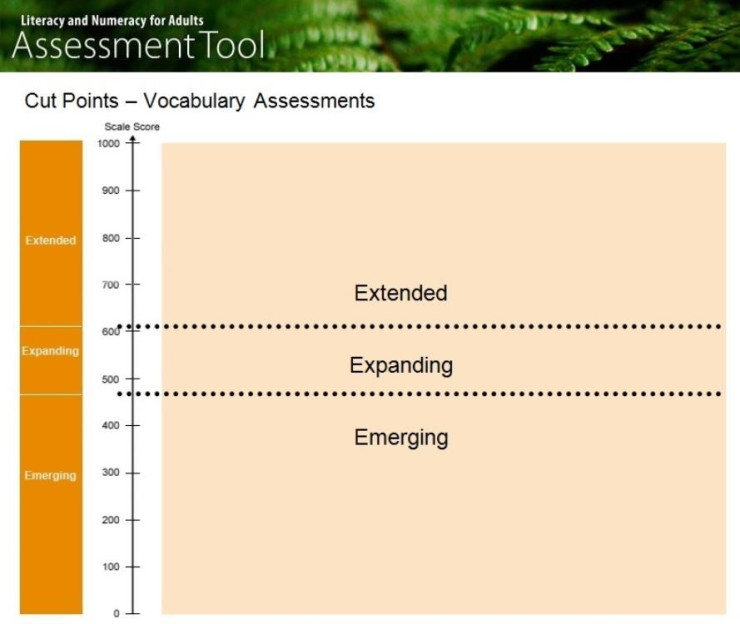 Vocabulary assessment cut points screenshot