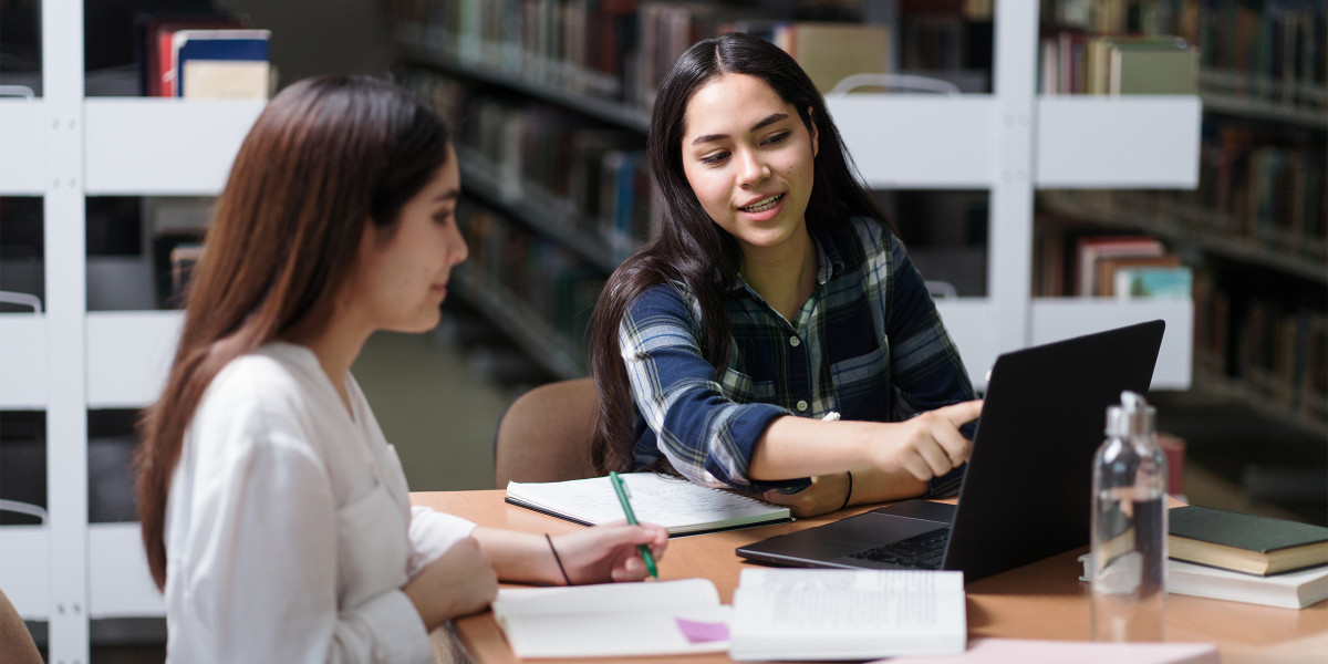 Two learners studying together in a library